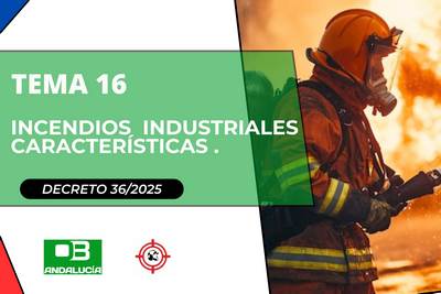 Tema 16 Específico - Andalucía